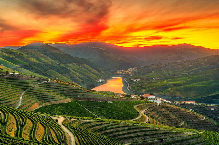 066 Douro Vallei.jpg